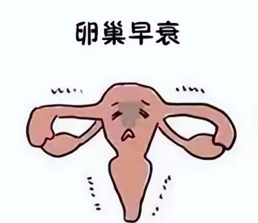 微信图片_20231117134645.png